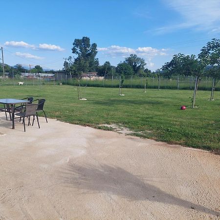 P&M Apartment يانينة المظهر الخارجي الصورة